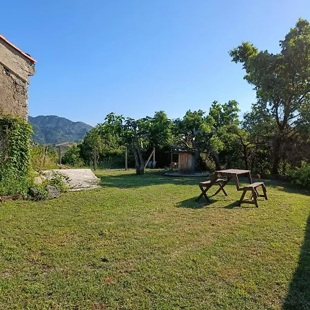 Il Tanaceto Guest house *