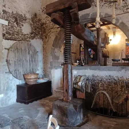 Il Tanaceto *
