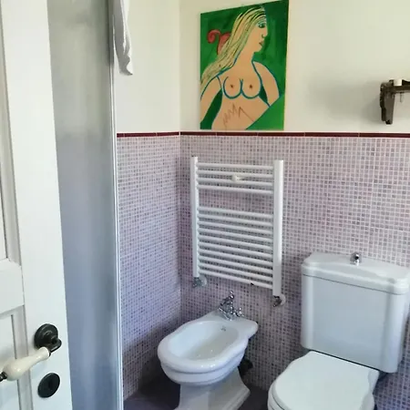 Il Tanaceto *