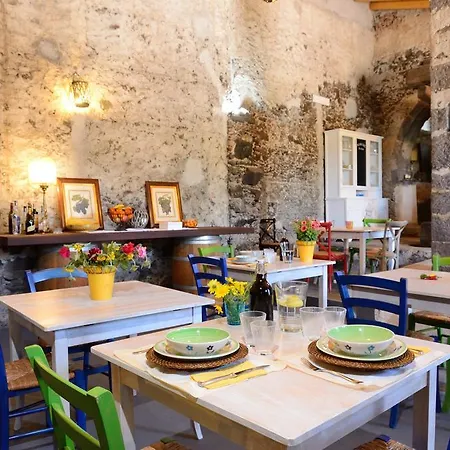 Il Tanaceto
