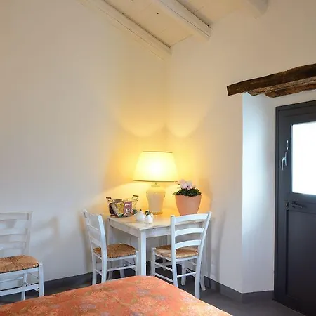 Il Tanaceto