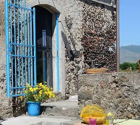 Il Tanaceto