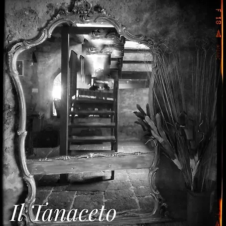 Vendégház Il Tanaceto Castiglione di Sicilia