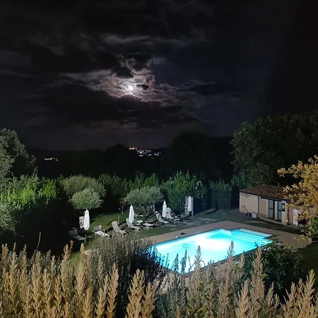 Il Tanaceto Castiglione di Sicilia