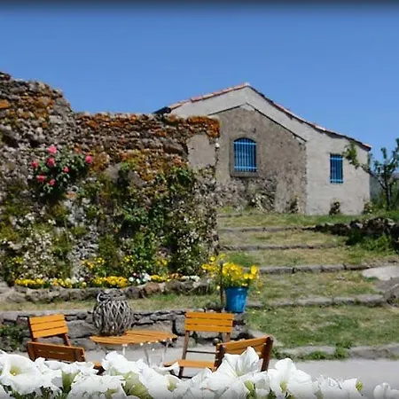 Il Tanaceto Castiglione di Sicilia