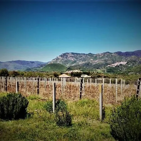 Il Tanaceto Castiglione di Sicilia