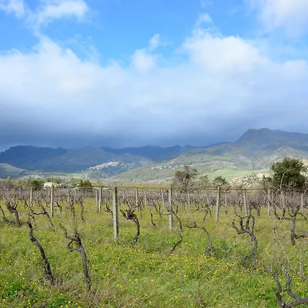 Il Tanaceto Vendégház 4*